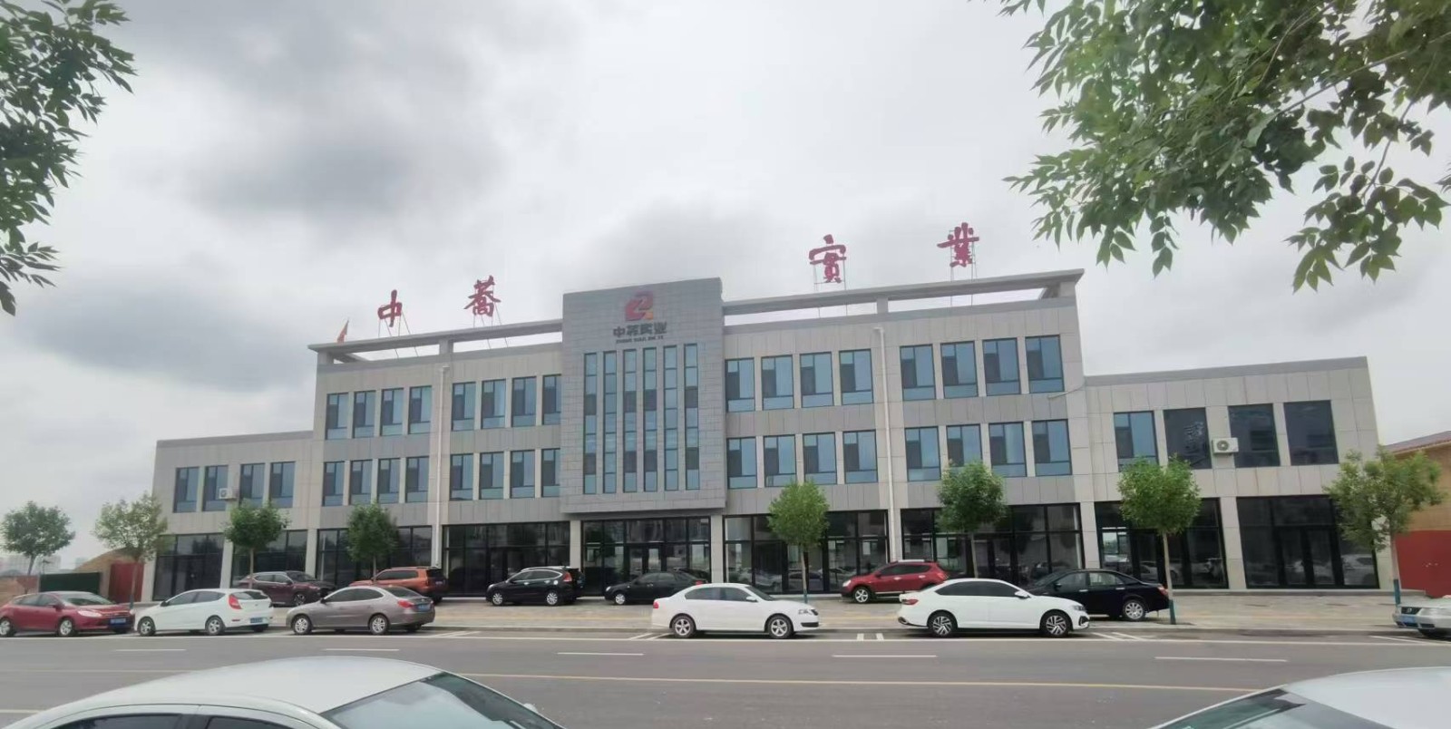 中蕎實業(yè) 中蕎實業(yè)